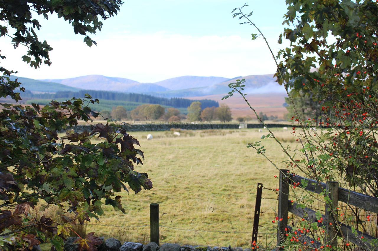 The Knowe B&B Carsphairn Eksteriør bilde